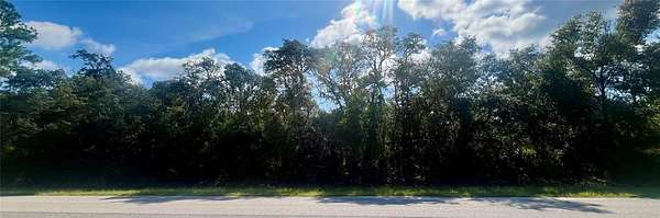 18 Acres of Recreational Land for Sale in Ocklawaha, Florida