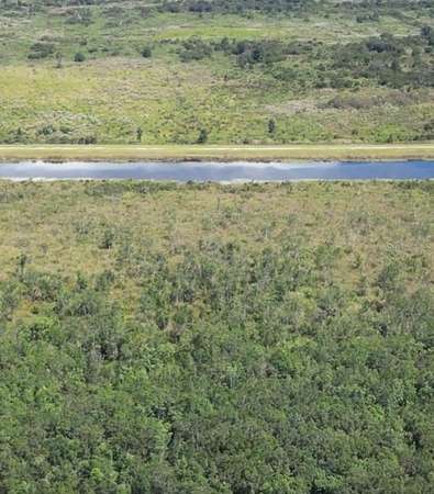 18 Acres of Recreational Land for Sale in Ocklawaha, Florida