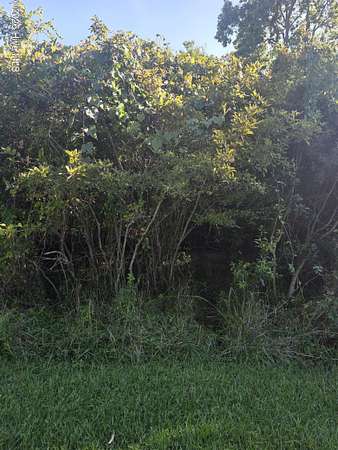 0.94 Acres of Land for Sale in Supply, North Carolina