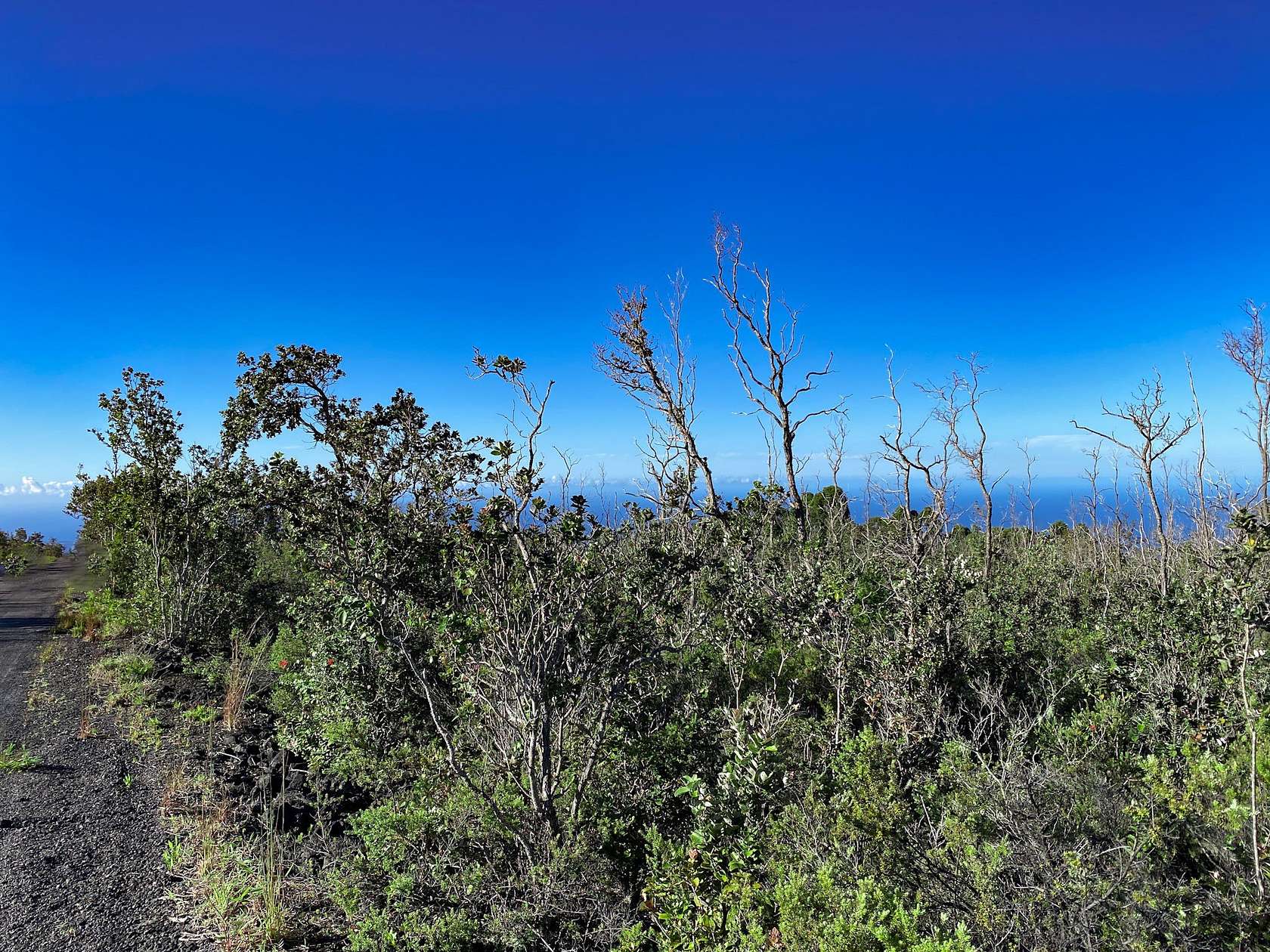 1 Acre of Land for Sale in Hawaiian Ocean View, Hawaii