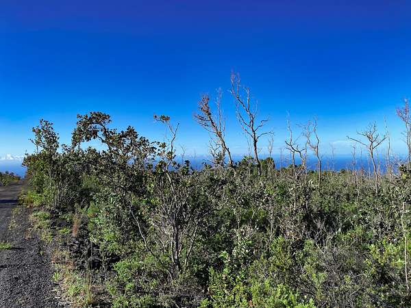 1 Acre of Land for Sale in Hawaiian Ocean View, Hawaii