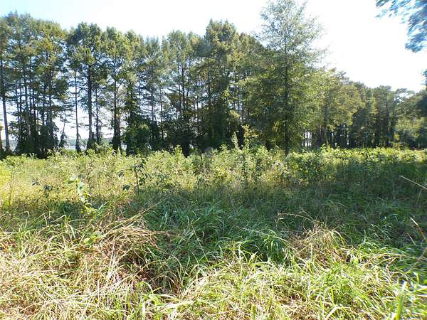0.9 Acres of Land for Sale in Lewisville, Arkansas
