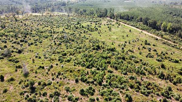 77.2 Acres of Land for Sale in Cushing, Texas