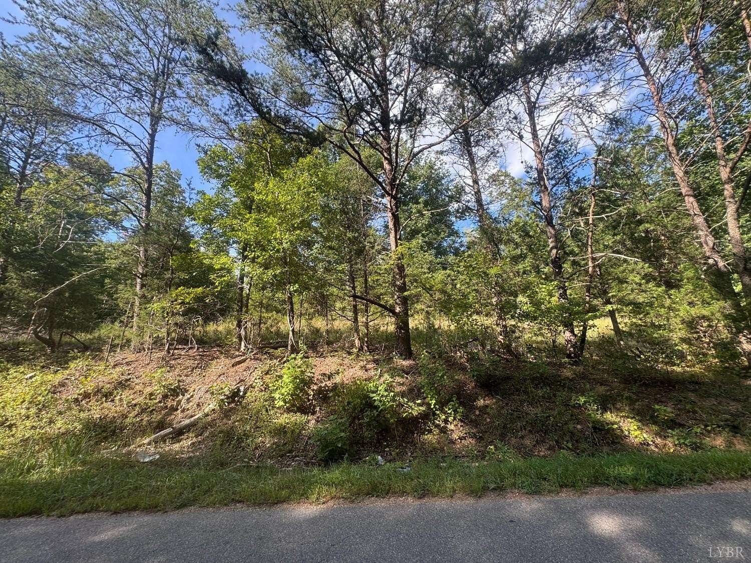 11 Acres of Land for Sale in Gladstone, Virginia