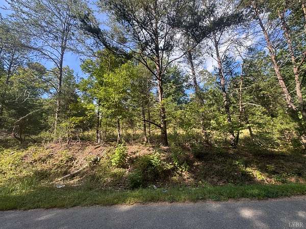 11 Acres of Land for Sale in Gladstone, Virginia