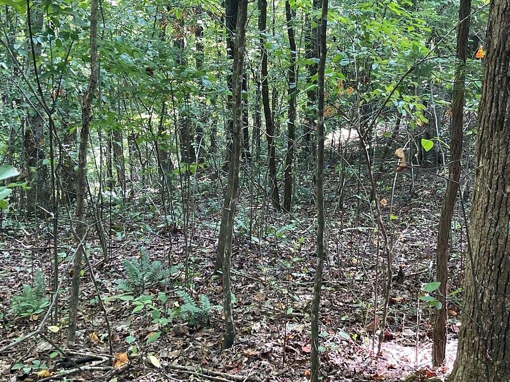 1 Acre of Land for Sale in Hayesville, North Carolina