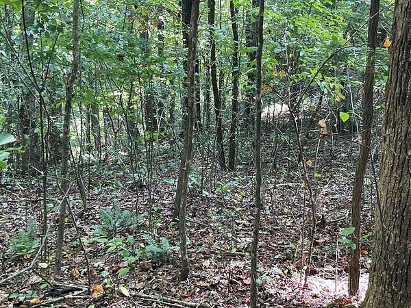 1 Acre of Land for Sale in Hayesville, North Carolina