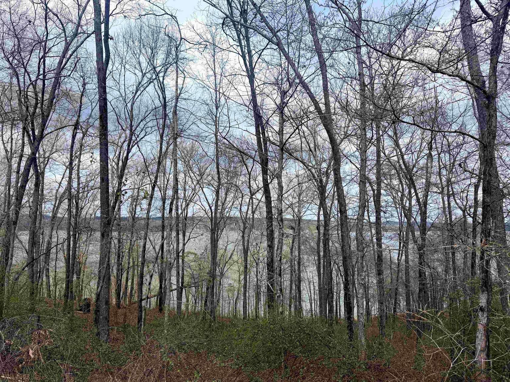 2 Acres of Residential Land for Sale in Cherokee, Alabama