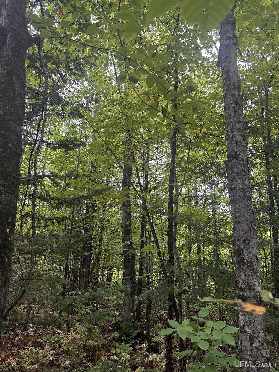 10 Acres of Recreational Land for Sale in Ontonagon, Michigan