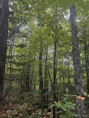 10 Acres of Recreational Land for Sale in Ontonagon, Michigan
