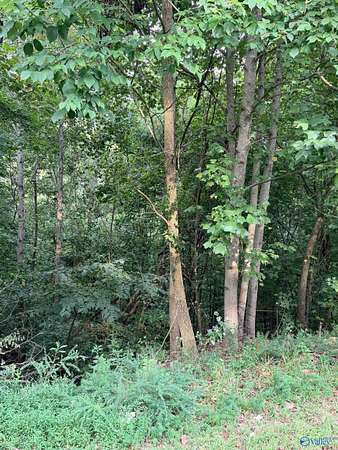 1.22 Acres of Residential Land for Sale in Scottsboro, Alabama