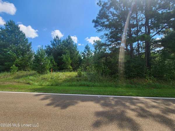 2 Acres of Residential Land for Sale in Wesson, Mississippi