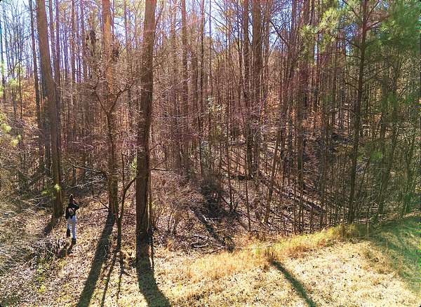 7.29 Acres of Land for Sale in Chattahoochee Hills, Georgia