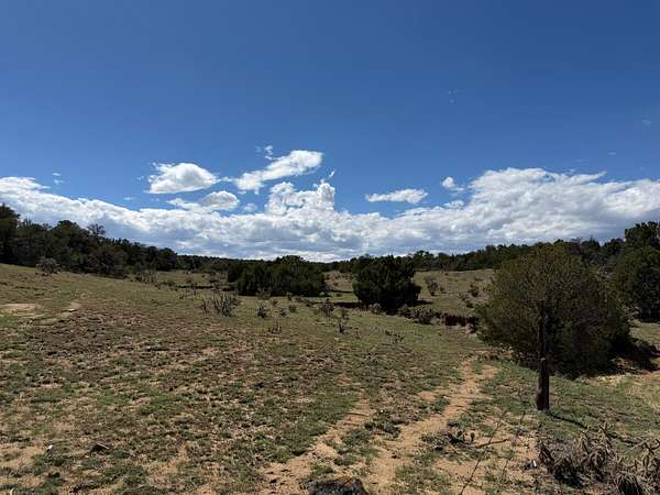 80 Acres of Land for Sale in Walsenburg, Colorado