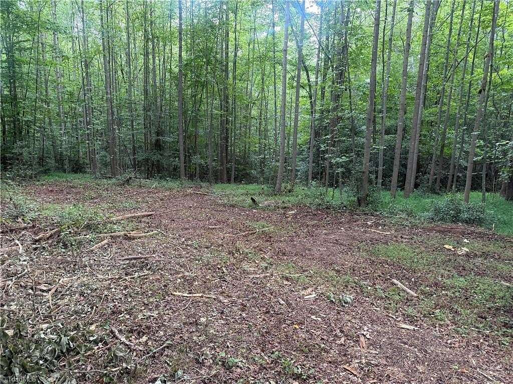 36 Acres of Land for Sale in Roaring River, North Carolina