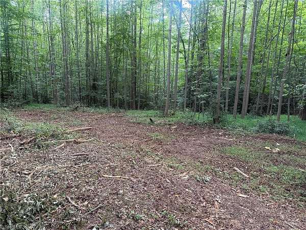 36 Acres of Land for Sale in Roaring River, North Carolina
