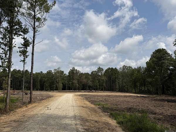 3 Acres of Residential Land for Sale in Independence, Louisiana