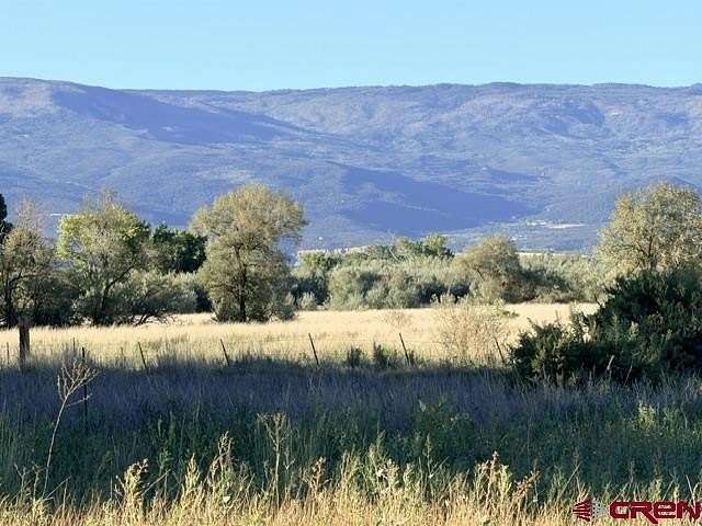 1.2 Acres of Residential Land for Sale in Austin, Colorado
