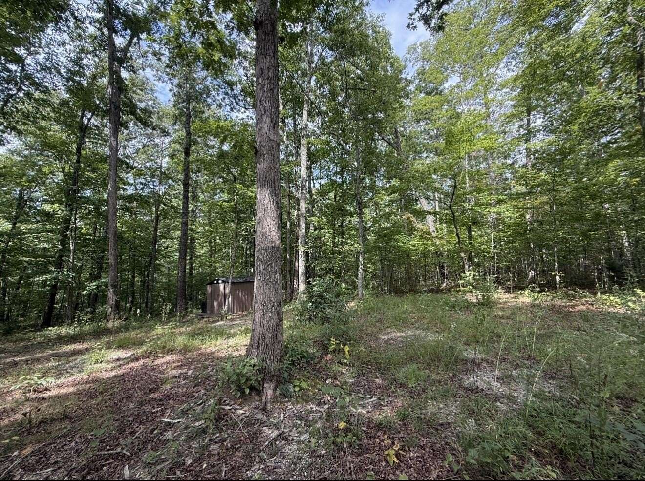 10.4 Acres of Recreational Land for Sale in Mount Vernon, Kentucky