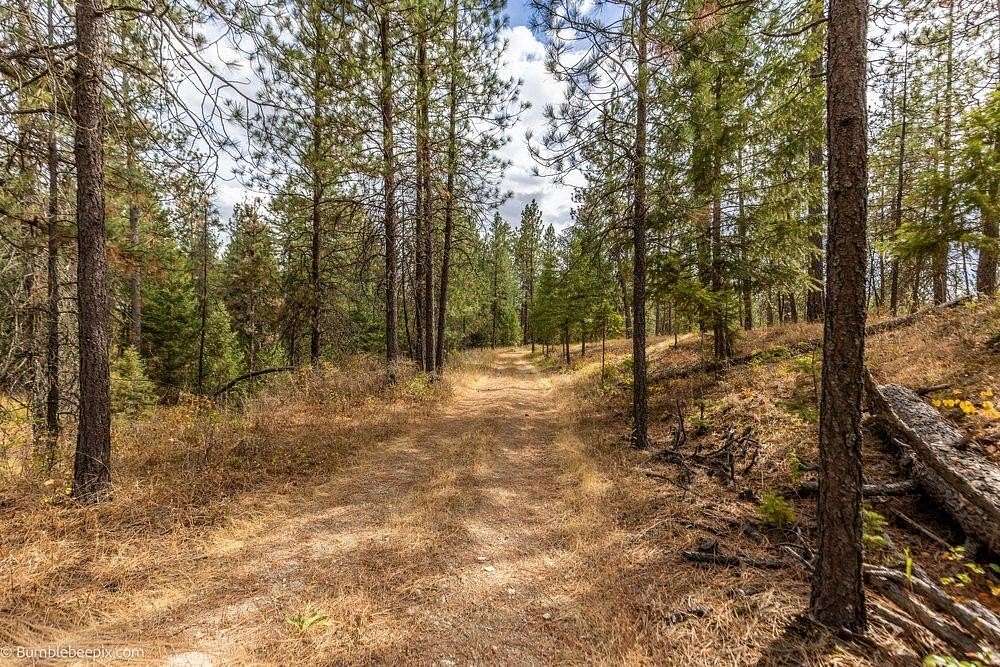 22.5 Acres of Agricultural & Residential Land for Sale in Colbert, Washington