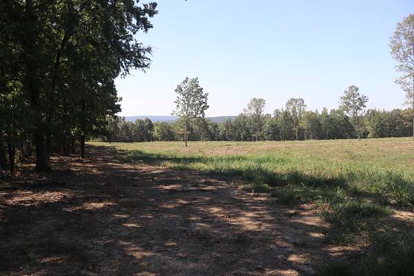 32.3 Acres of Land for Sale in Clinton, Arkansas