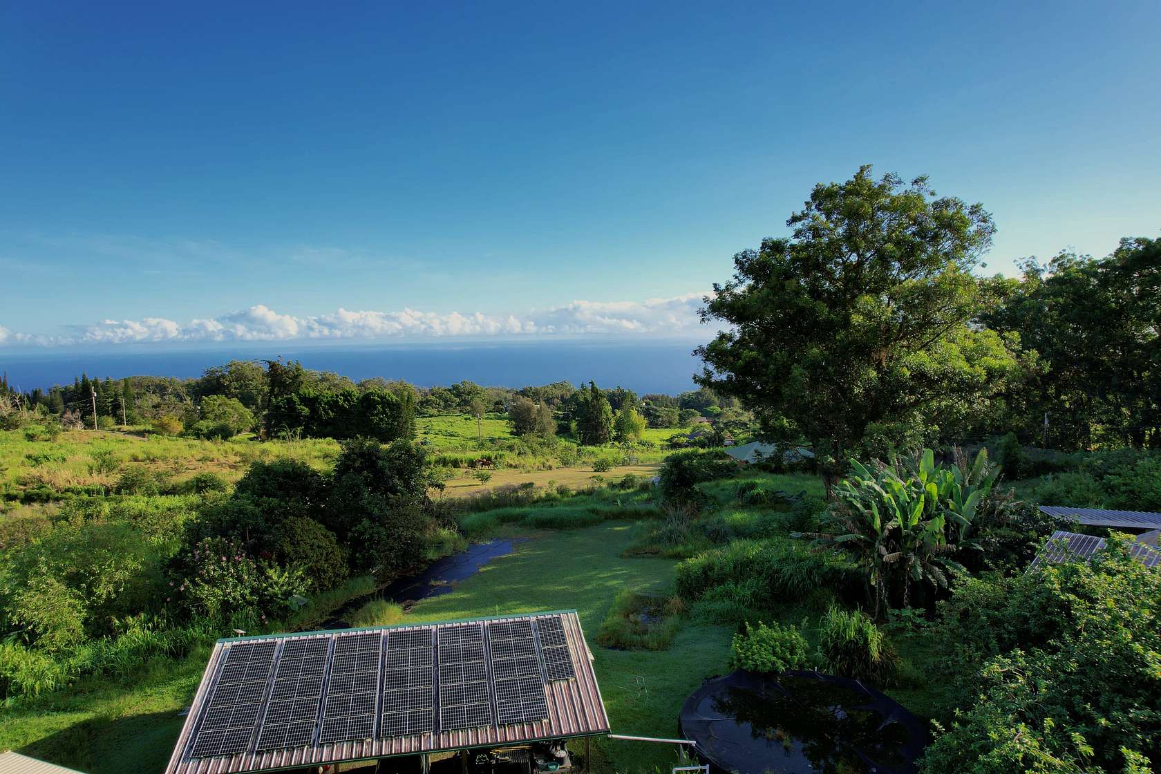 5.25 Acres of Residential Land for Sale in Honokaa, Hawaii