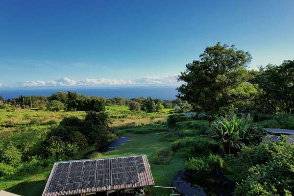 5.25 Acres of Residential Land for Sale in Honokaa, Hawaii