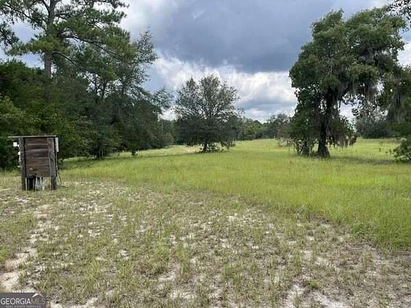 55 Acres of Recreational & Residential Land for Sale in Metter, Georgia