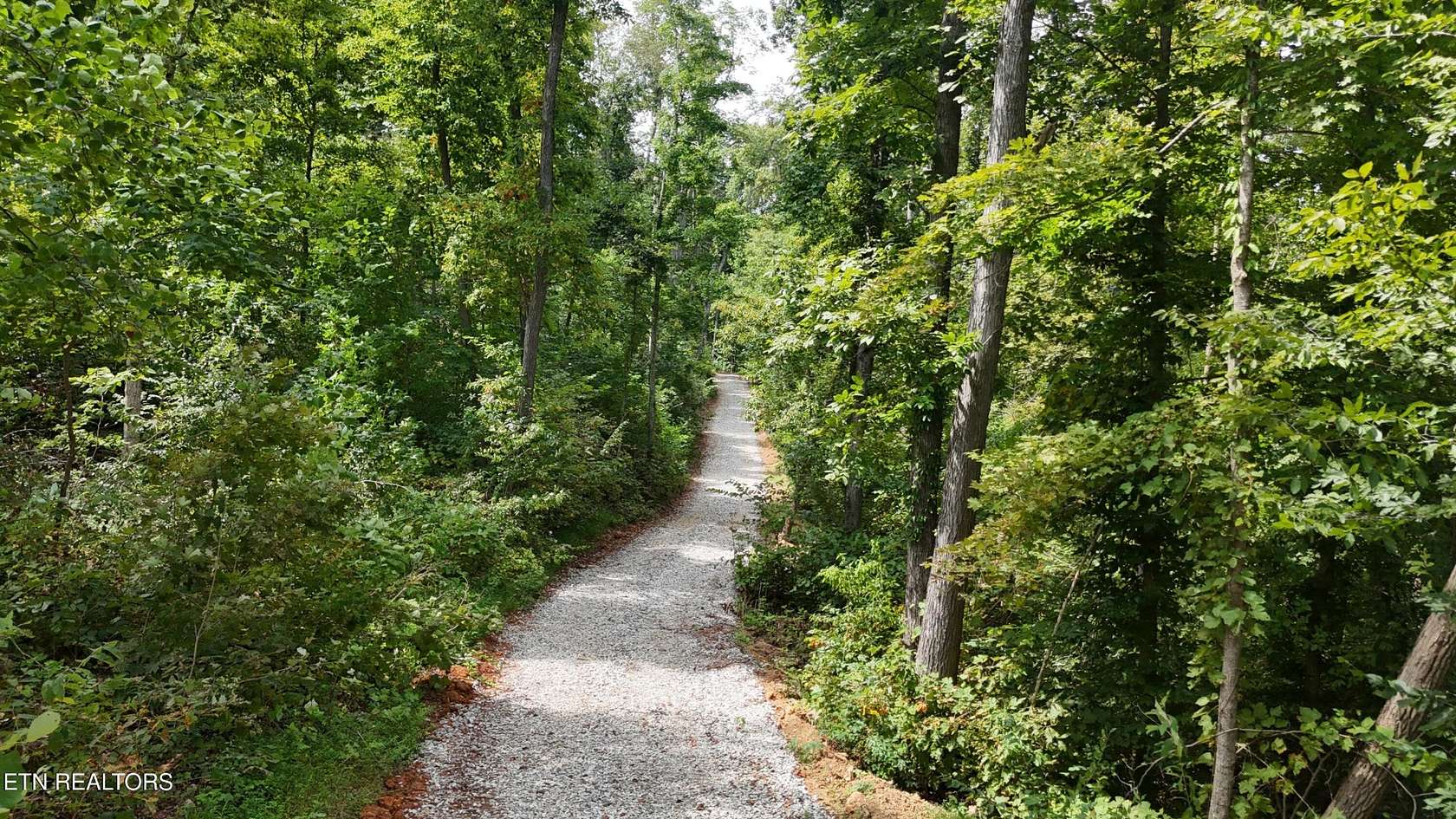 25.3 Acres of Recreational & Residential Land for Sale in Rocky Top, Tennessee