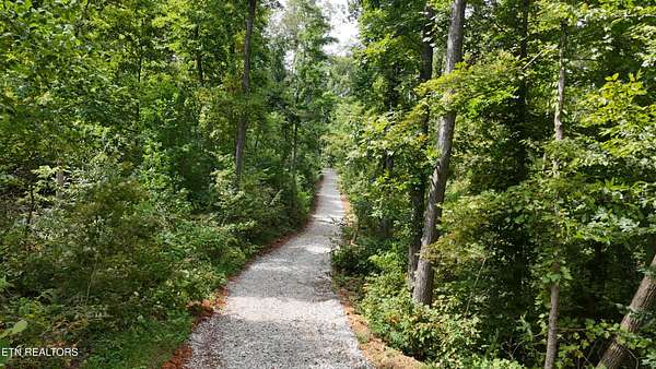 25.3 Acres of Recreational & Residential Land for Sale in Rocky Top, Tennessee