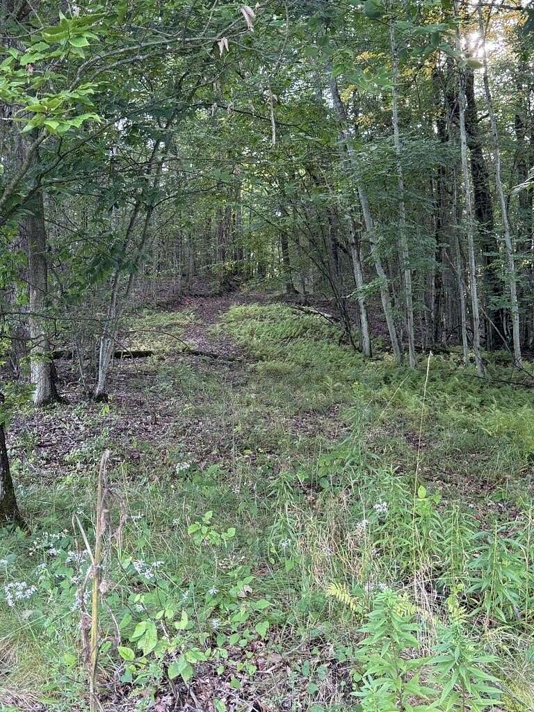 13.7 Acres of Land for Sale in Rew, Pennsylvania