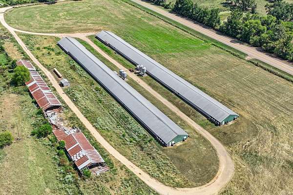 40 Acres of Agricultural & Residential Land for Sale in Lockesburg, Arkansas