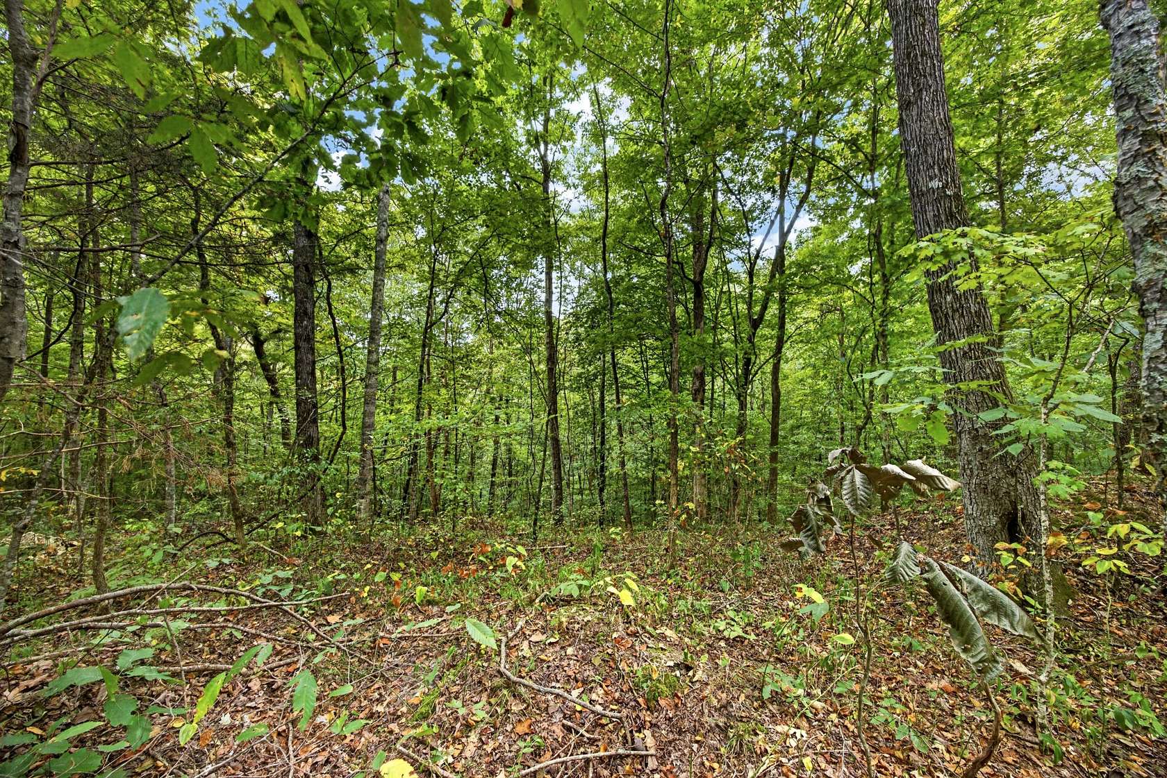 2.77 Acres of Residential Land for Sale in Celina, Tennessee