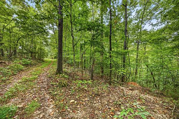 3 Acres of Residential Land for Sale in Celina, Tennessee