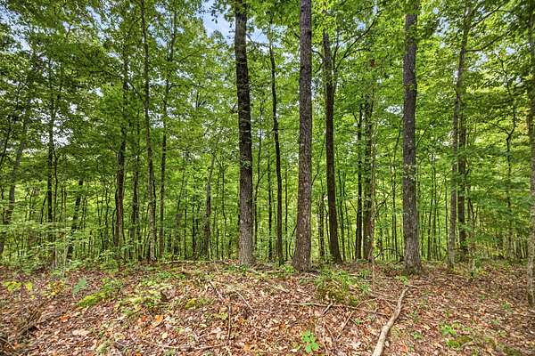 15.8 Acres of Land for Sale in Celina, Tennessee