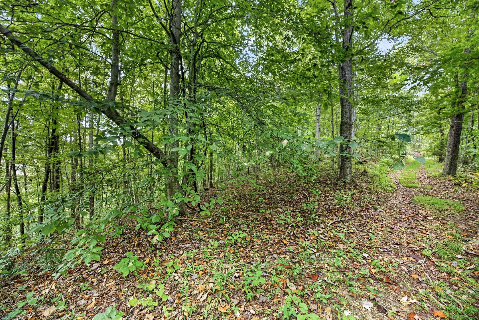 5.3 Acres of Residential Land for Sale in Celina, Tennessee