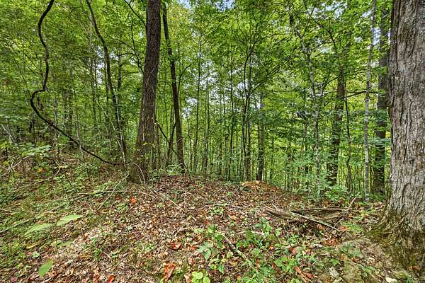 4.27 Acres of Residential Land for Sale in Celina, Tennessee