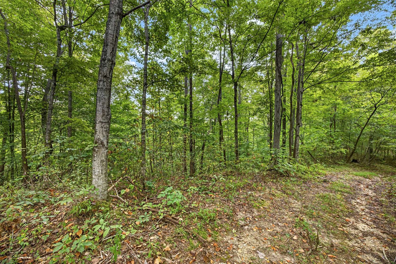3.27 Acres of Residential Land for Sale in Celina, Tennessee