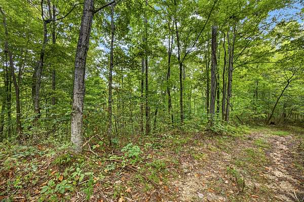 3.27 Acres of Residential Land for Sale in Celina, Tennessee