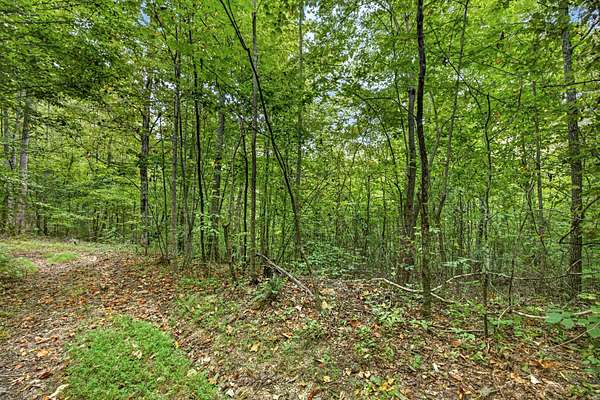 5 Acres of Residential Land for Sale in Celina, Tennessee