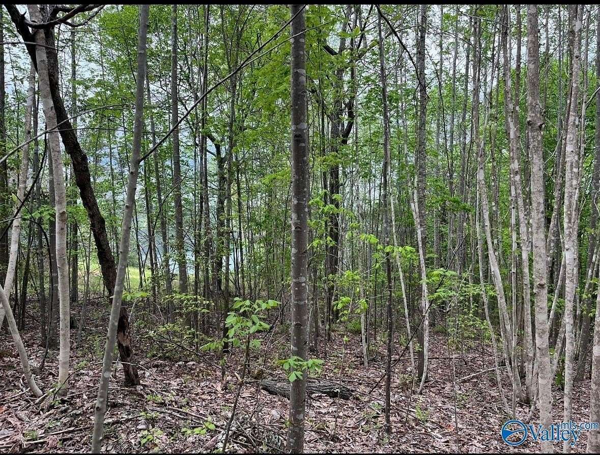 3.1 Acres of Land for Sale in Arley, Alabama