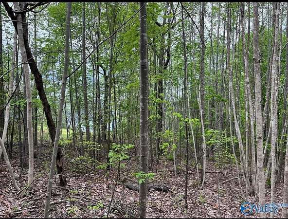 3.1 Acres of Land for Sale in Arley, Alabama