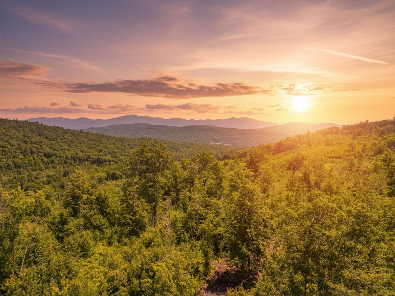 62.5 Acres of Recreational & Residential Land for Sale in Lyman Town, New Hampshire