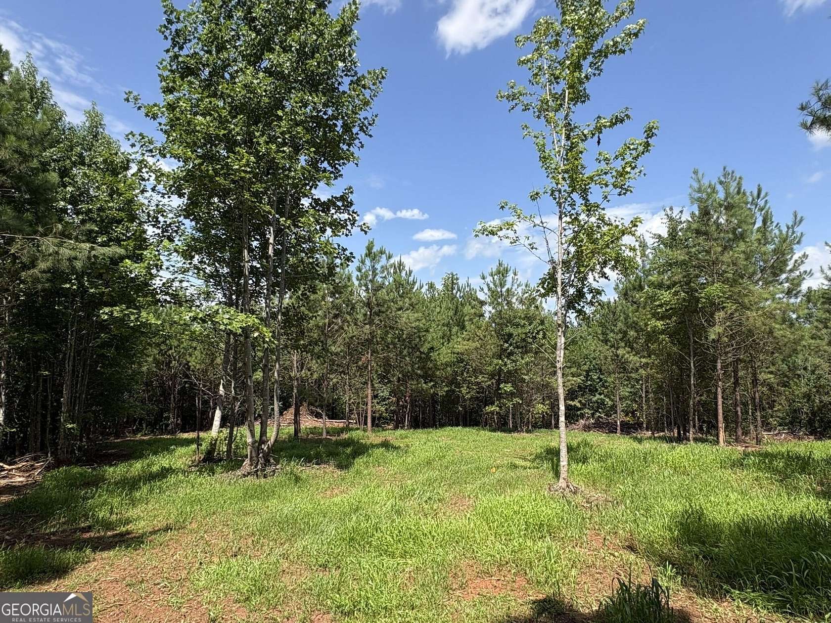 15.6 Acres of Recreational Land for Sale in Woodland, Georgia