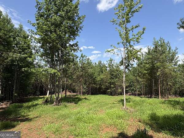 15.6 Acres of Recreational Land for Sale in Woodland, Georgia