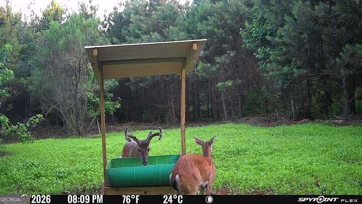 17 Acres of Recreational Land for Sale in Woodland, Georgia