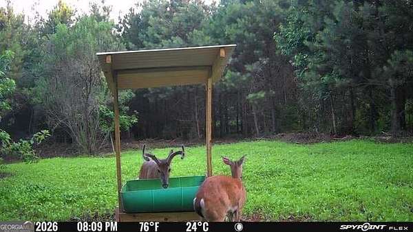 17 Acres of Recreational Land for Sale in Woodland, Georgia