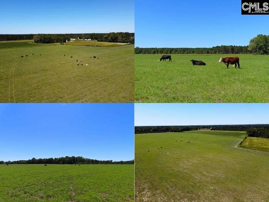 12.2 Acres of Land for Sale in Hartsville, South Carolina
