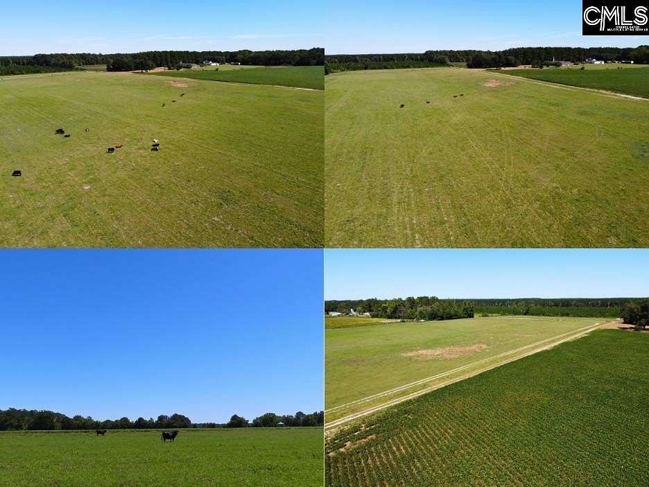 11.5 Acres of Land for Sale in Hartsville, South Carolina