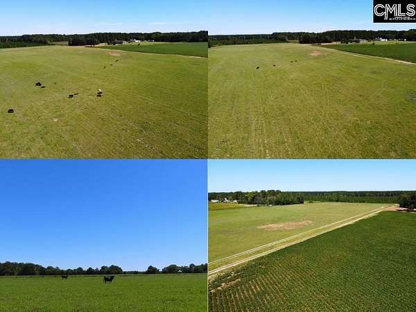 11.5 Acres of Land for Sale in Hartsville, South Carolina
